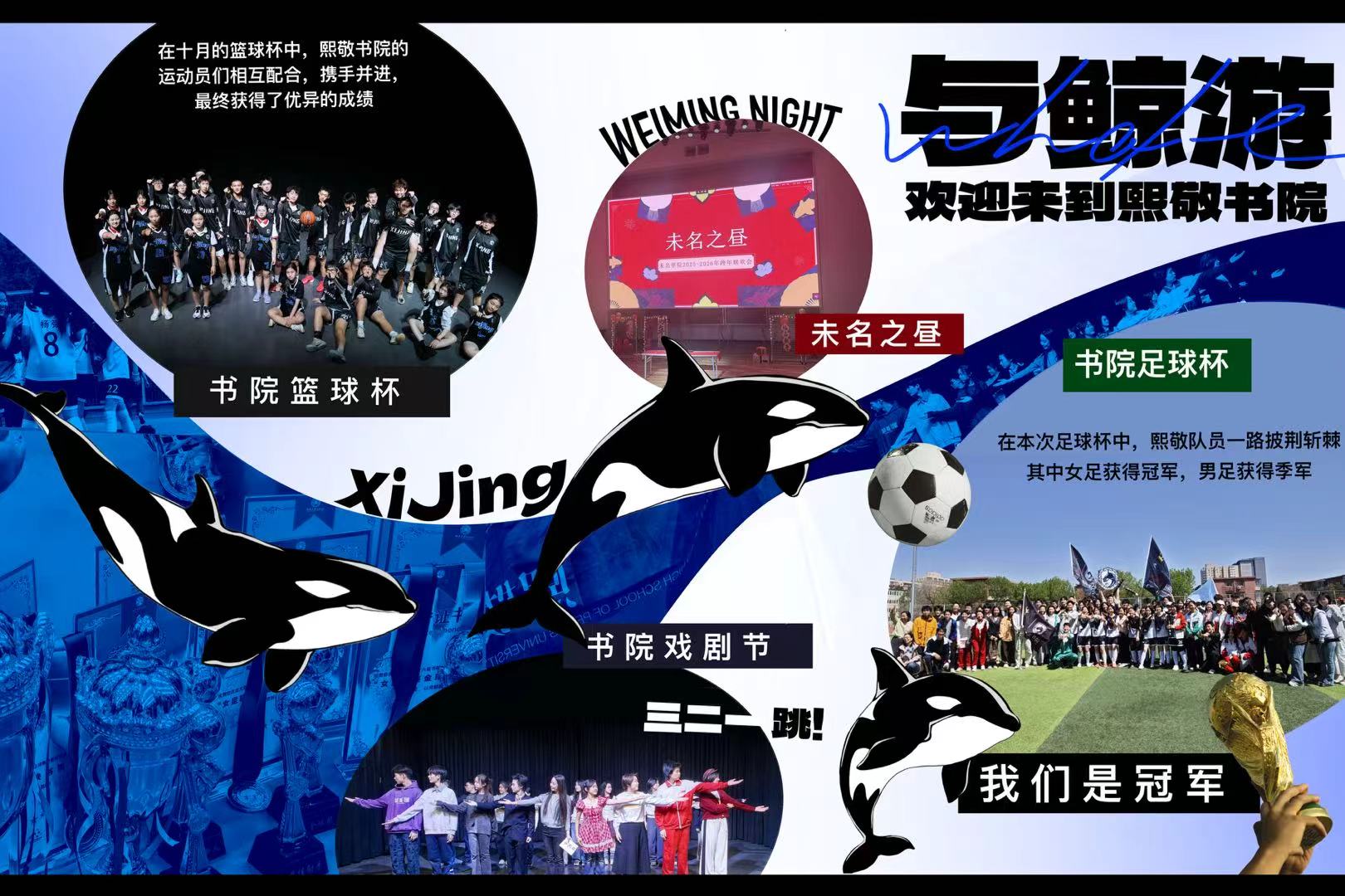 熙敬2025开放日展板